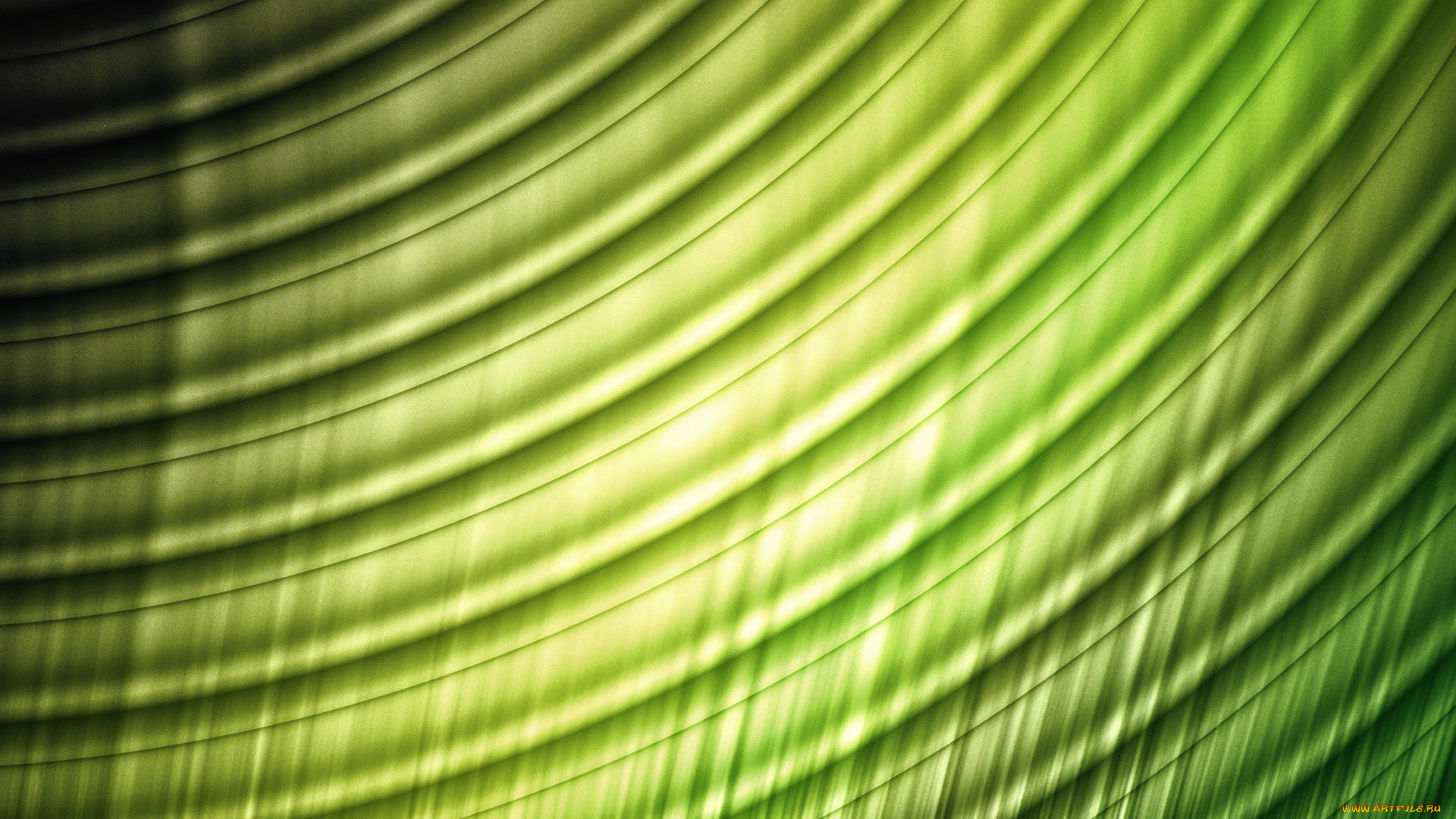 , , , , texture, 